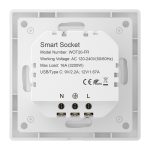 Smart Outlet Avatto WOT20-FR - Slika 6