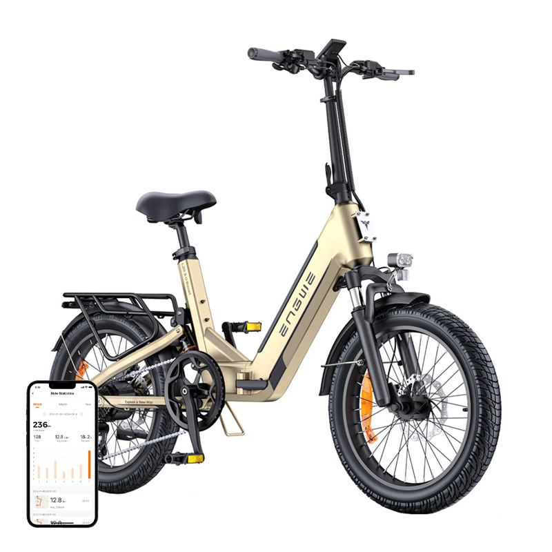 60878_1 ENGWE L20 3.0 BOOST 250W 16" Electric Bike (Gold) - Slika 1