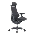 LiberNovo Omni Pro 48 cm Ergonomic Chair (Graphite) - Slika 2