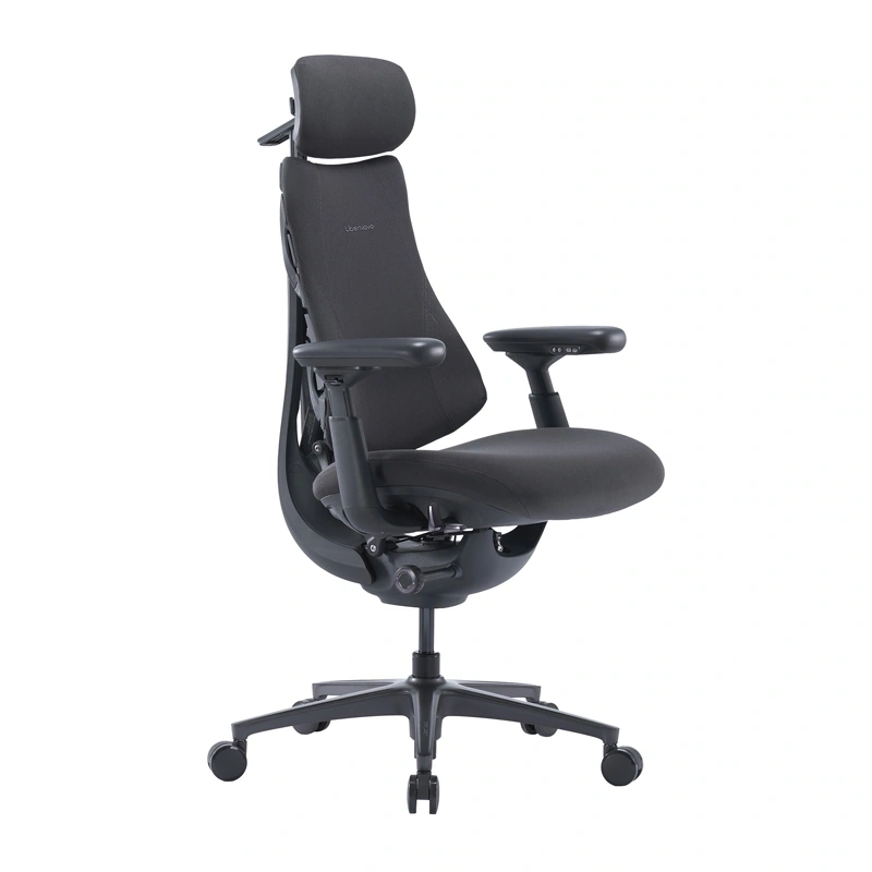 62452_1_1 LiberNovo Omni Pro 48 cm Ergonomic Chair (Graphite) - Slika 2