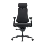 LiberNovo Omni Pro 48 cm Ergonomic Chair (Graphite) - Slika 3