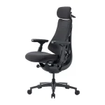 LiberNovo Omni Pro 48 cm Ergonomic Chair (Graphite)