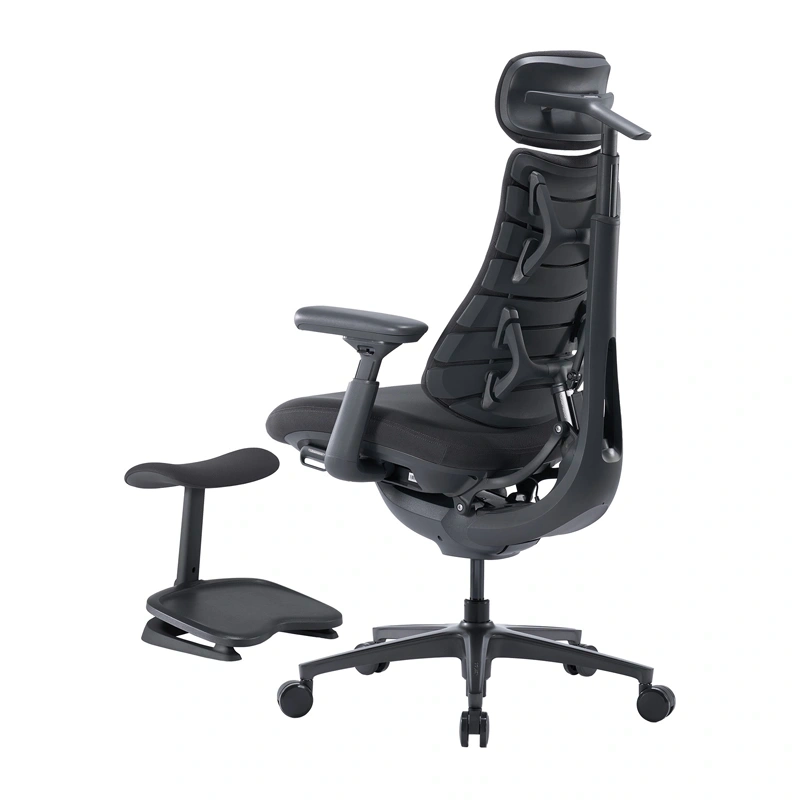 62452_7_1 LiberNovo Omni Pro 48 cm Ergonomic Chair (Graphite) - Slika 6